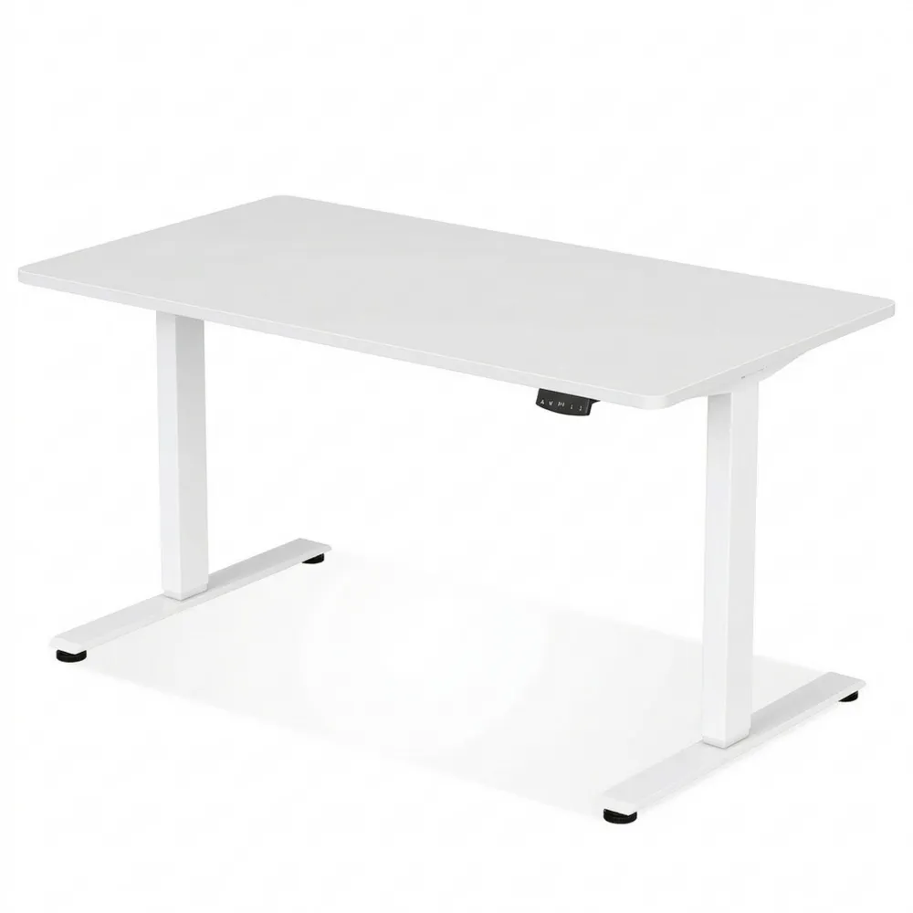 Elektrisch höhenverstellbarer Schreibtisch 160x80cm mit USB-Ladefunktion-Ralnhaus