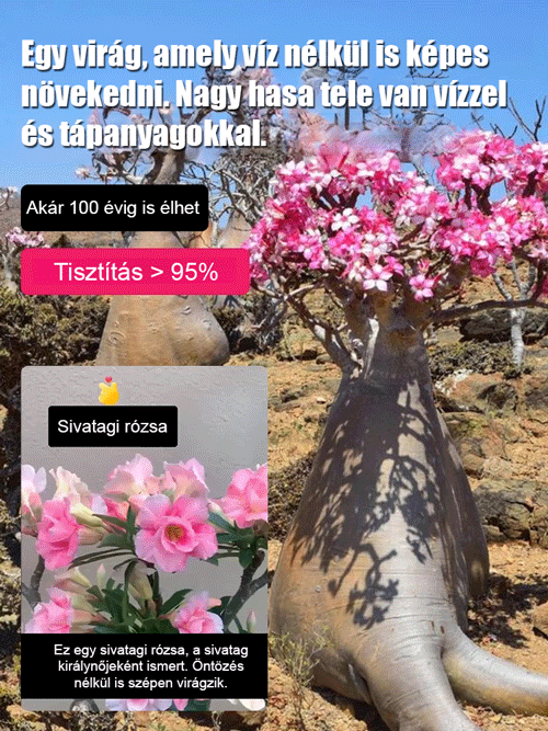 Sivatagi rózsa elpusztíthatatlan és lenyűgözően gyönyörű!