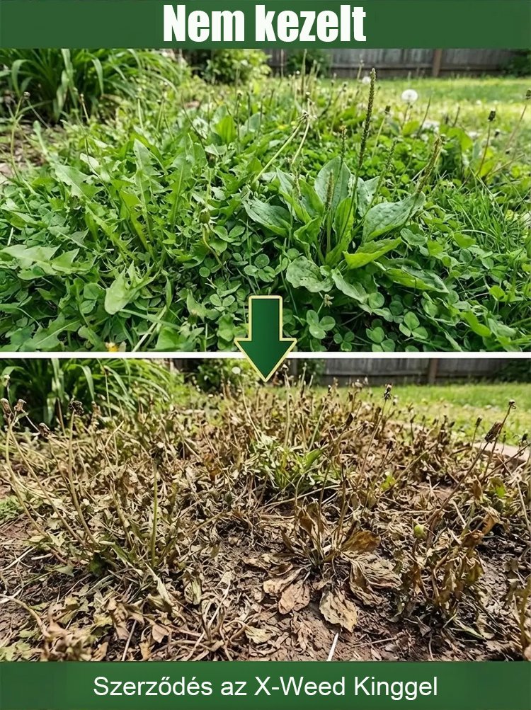 翻译件-SL-除草烂根剂-1349739-系统-(2)_11.jpg
