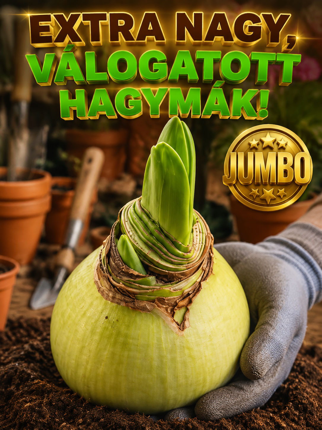 Óriás sivatagi rózsa hagyma, amely márciusban is locsolás nélkül életben marad