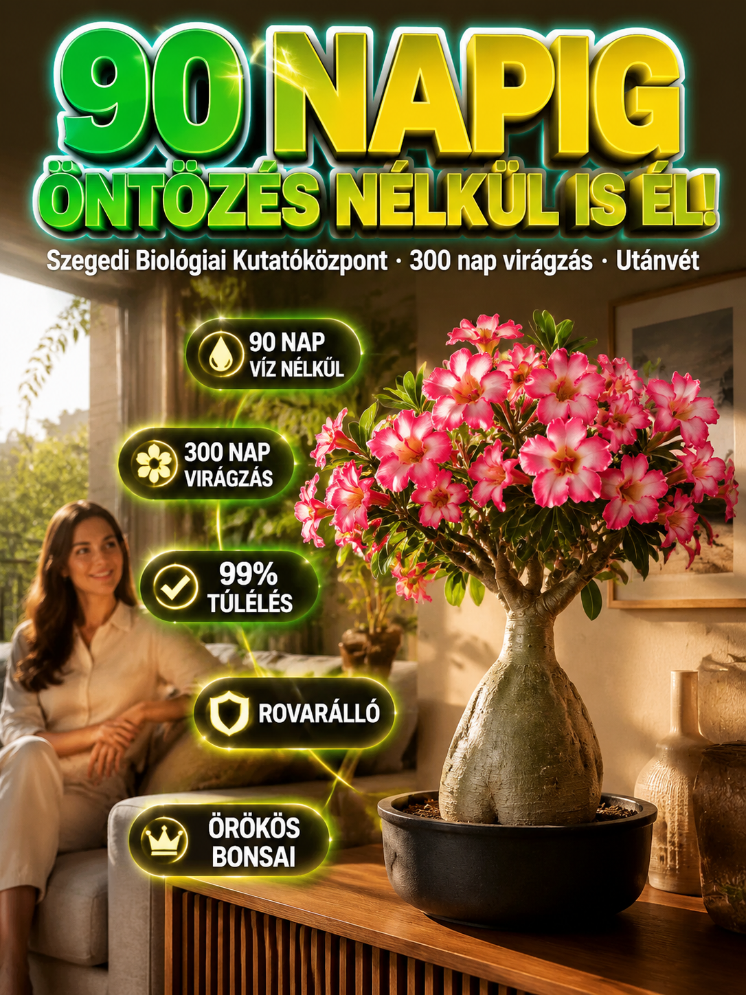 Óriás sivatagi rózsa hagyma, amely márciusban is locsolás nélkül életben marad
