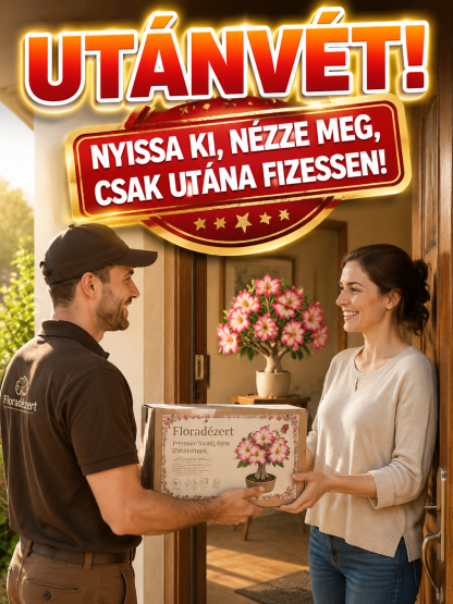 Óriás sivatagi rózsa hagyma, amely márciusban is locsolás nélkül életben marad