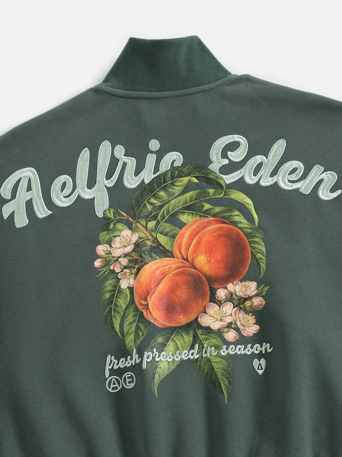 Aelfric Eden Peach Graphic Boxy Zip Up Sweatshirt