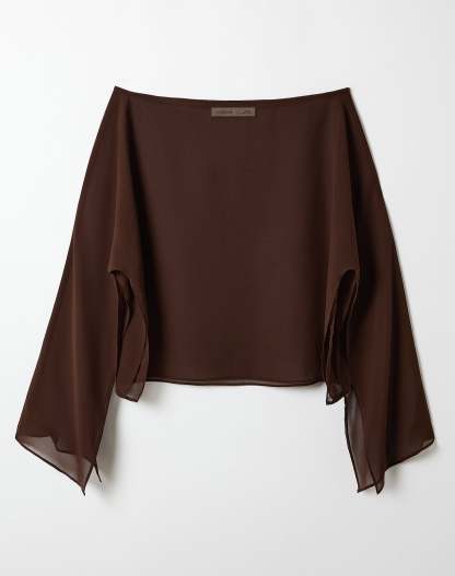 Chiffon Sheer Long Sleeve Blouse