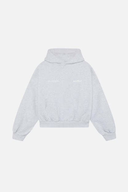 Worldwide Grey Melange Hoodie