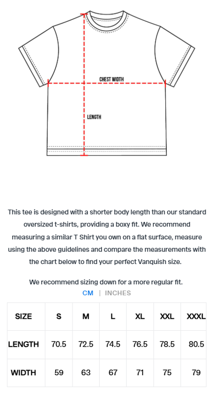 Pasted Image