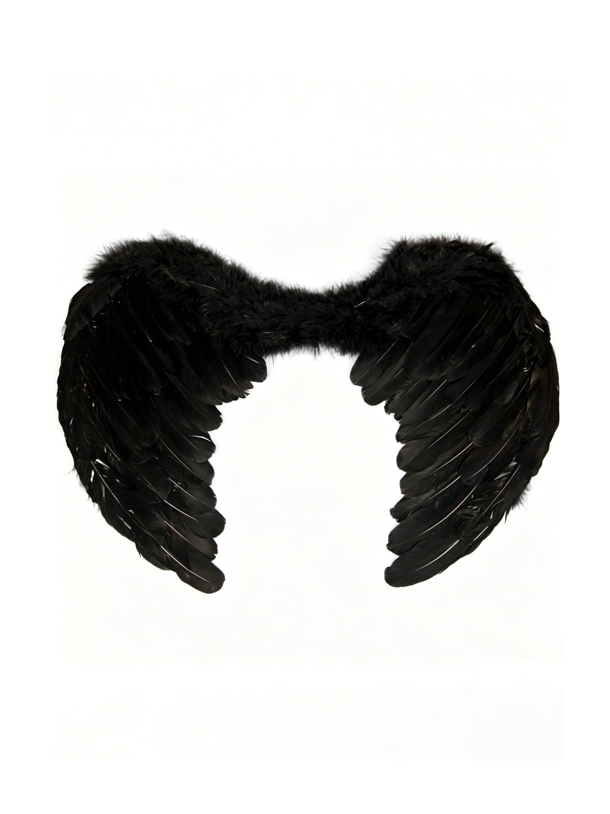 Black Feather Wings