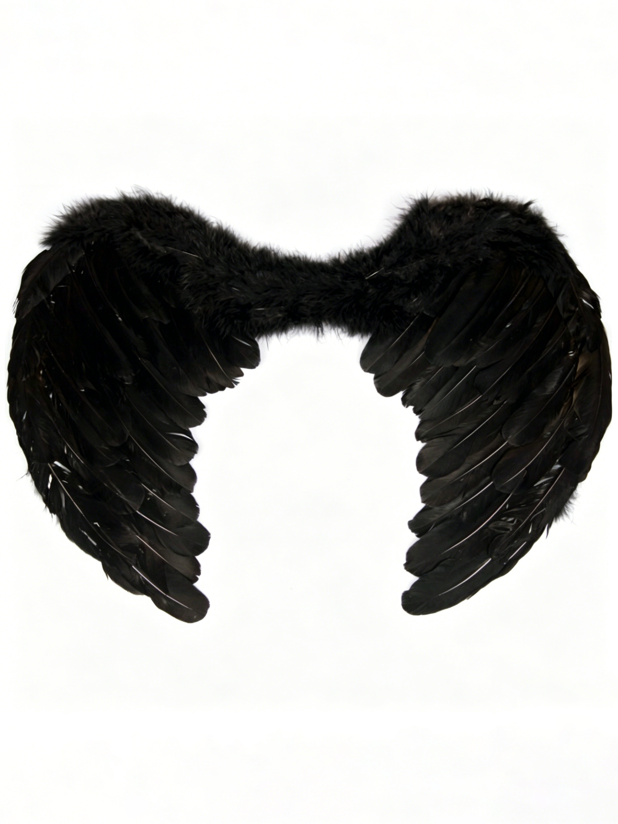 Black Feather Wings