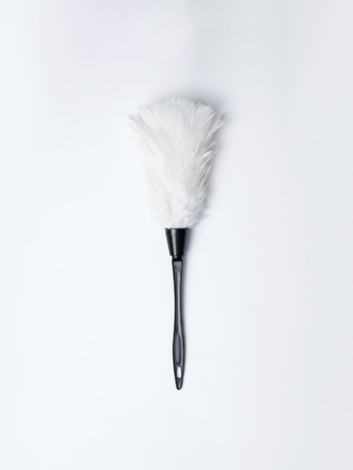 Feather Duster