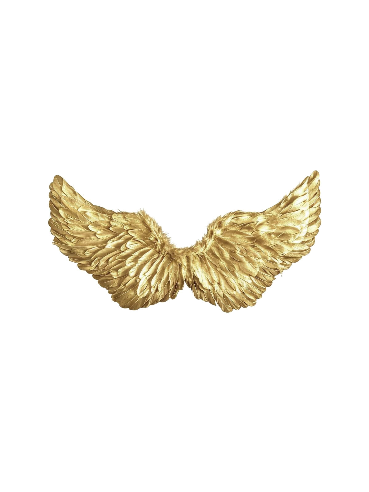 Golden Feather Wings