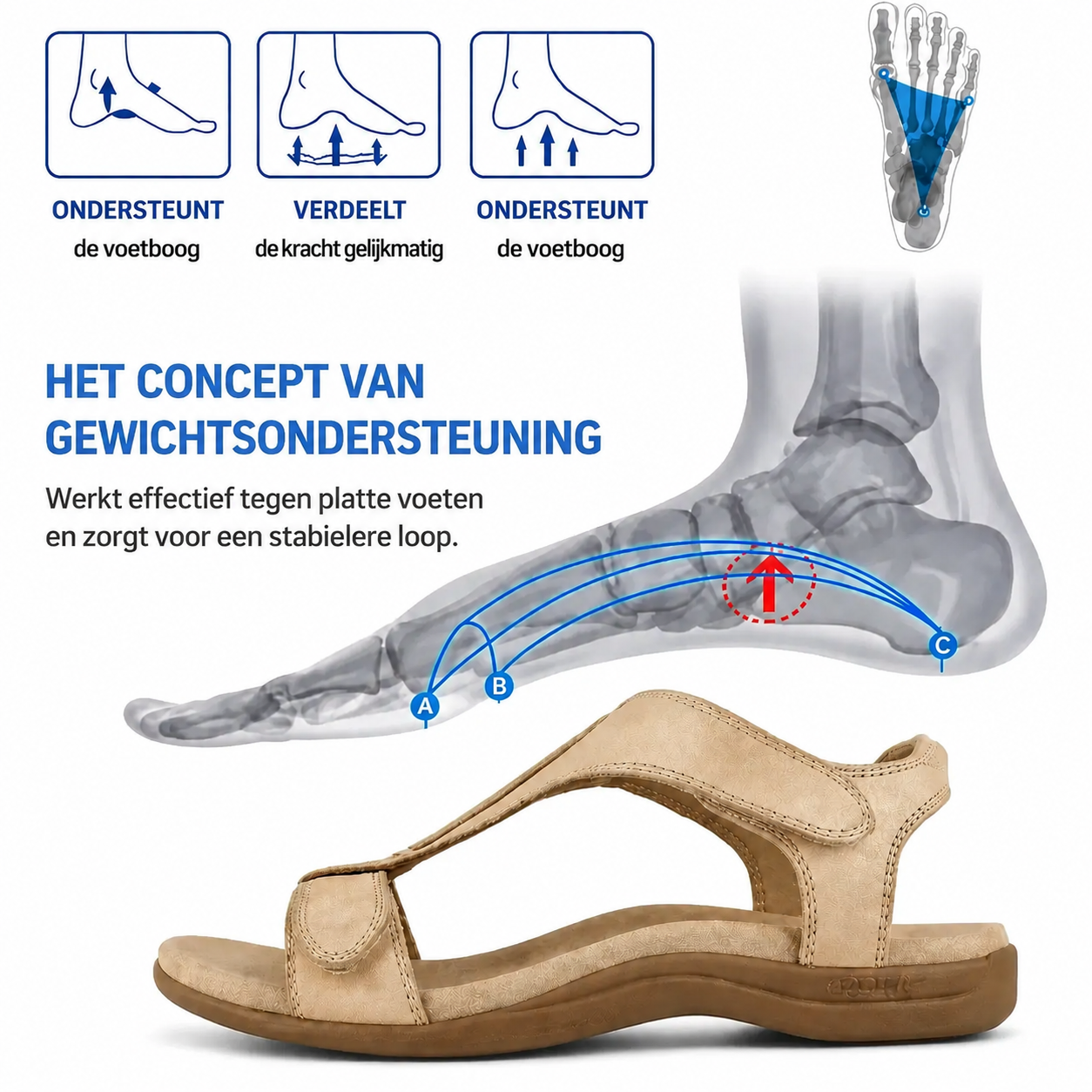 📣 LAATSTE DAG – 70% KORTING 🔥 Orthopedische sleehaksandalen voor dames – effectief tegen voetpijn