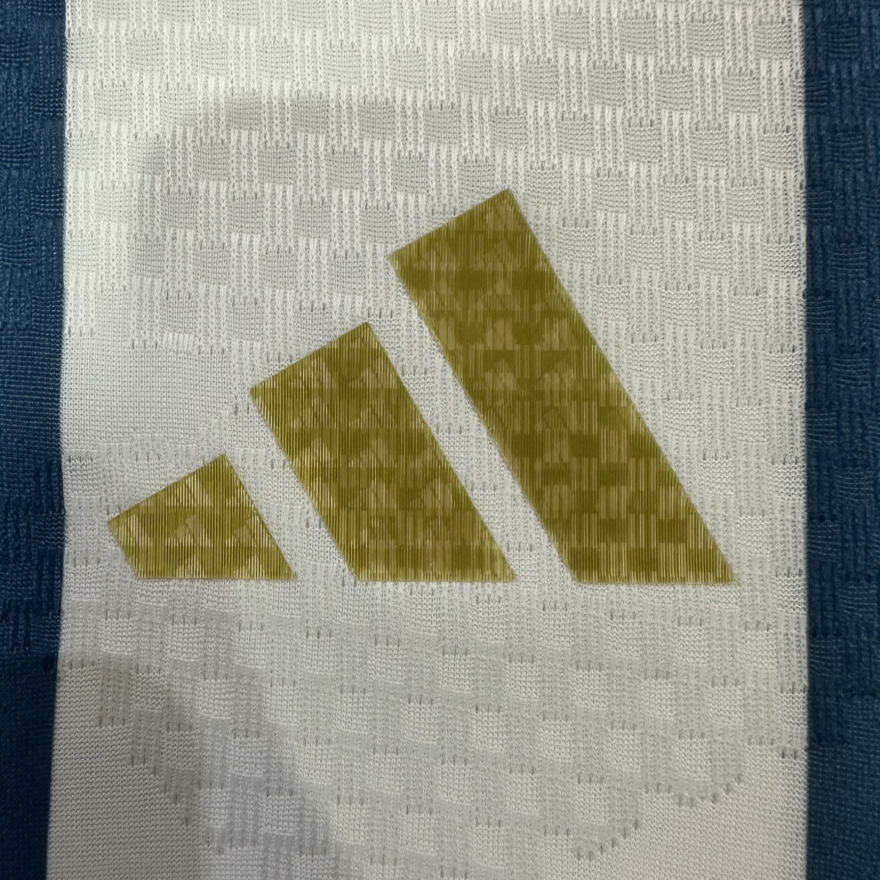  Argentina Home Jersey 26/27 - Player Version