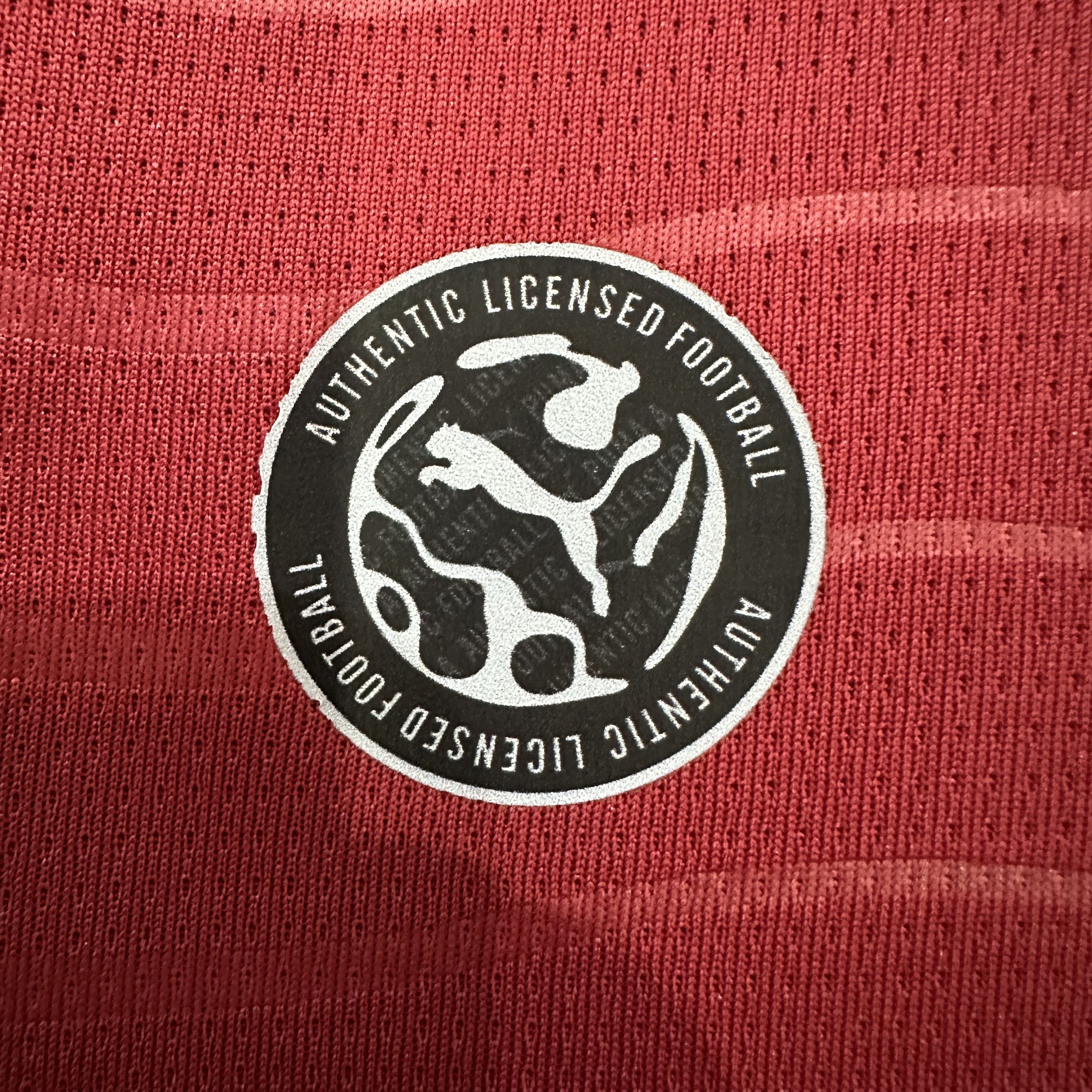 Portugal Home Jersey 26/27 - Fan Version