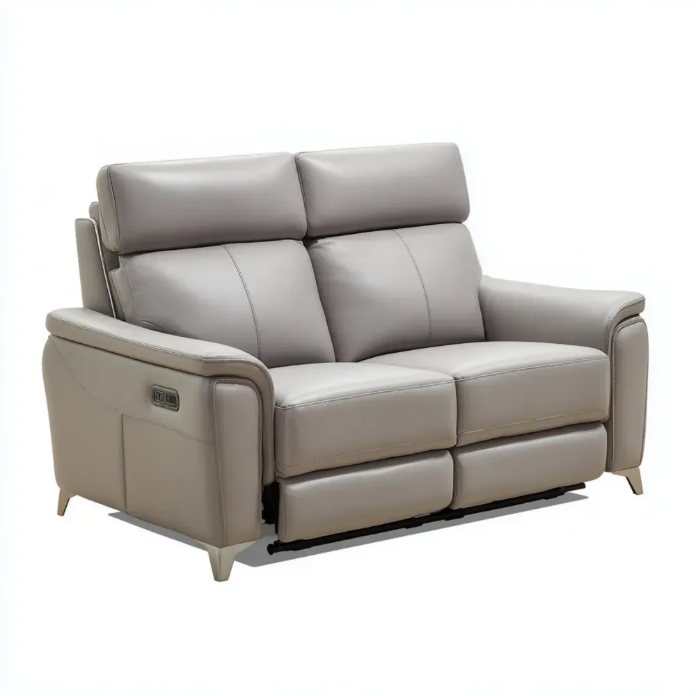 Zweisitzer-Sofa Leder Hellgrau Verstellbare Rückenlehne