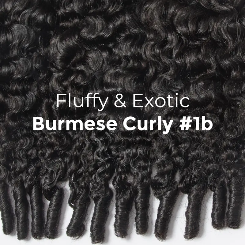 [Trippy] Burmese Curly Half Wig Quick Weave Seamless Blend Realistic Hairline Fulani Braids