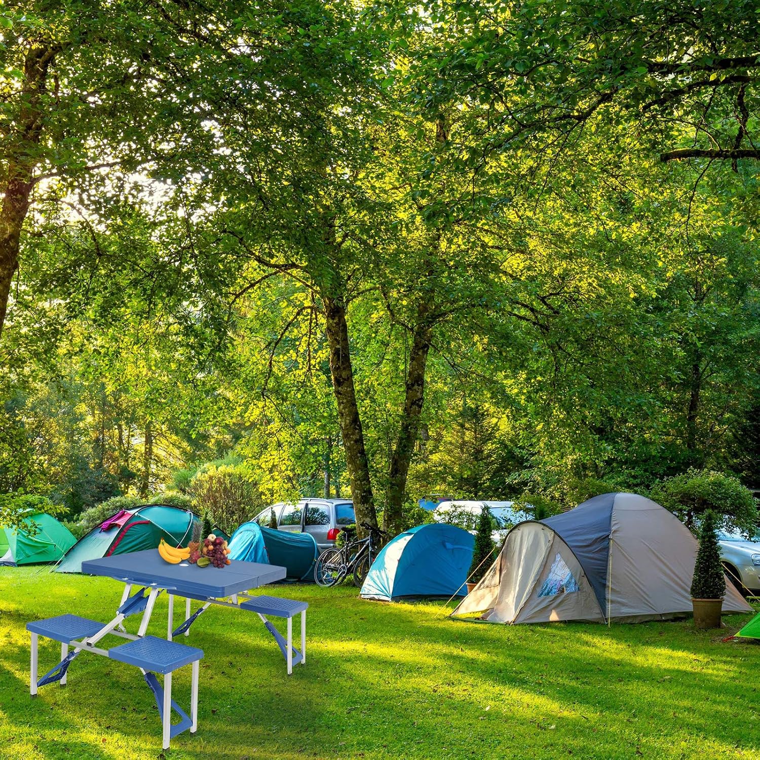 Folding Camping Picnic Table