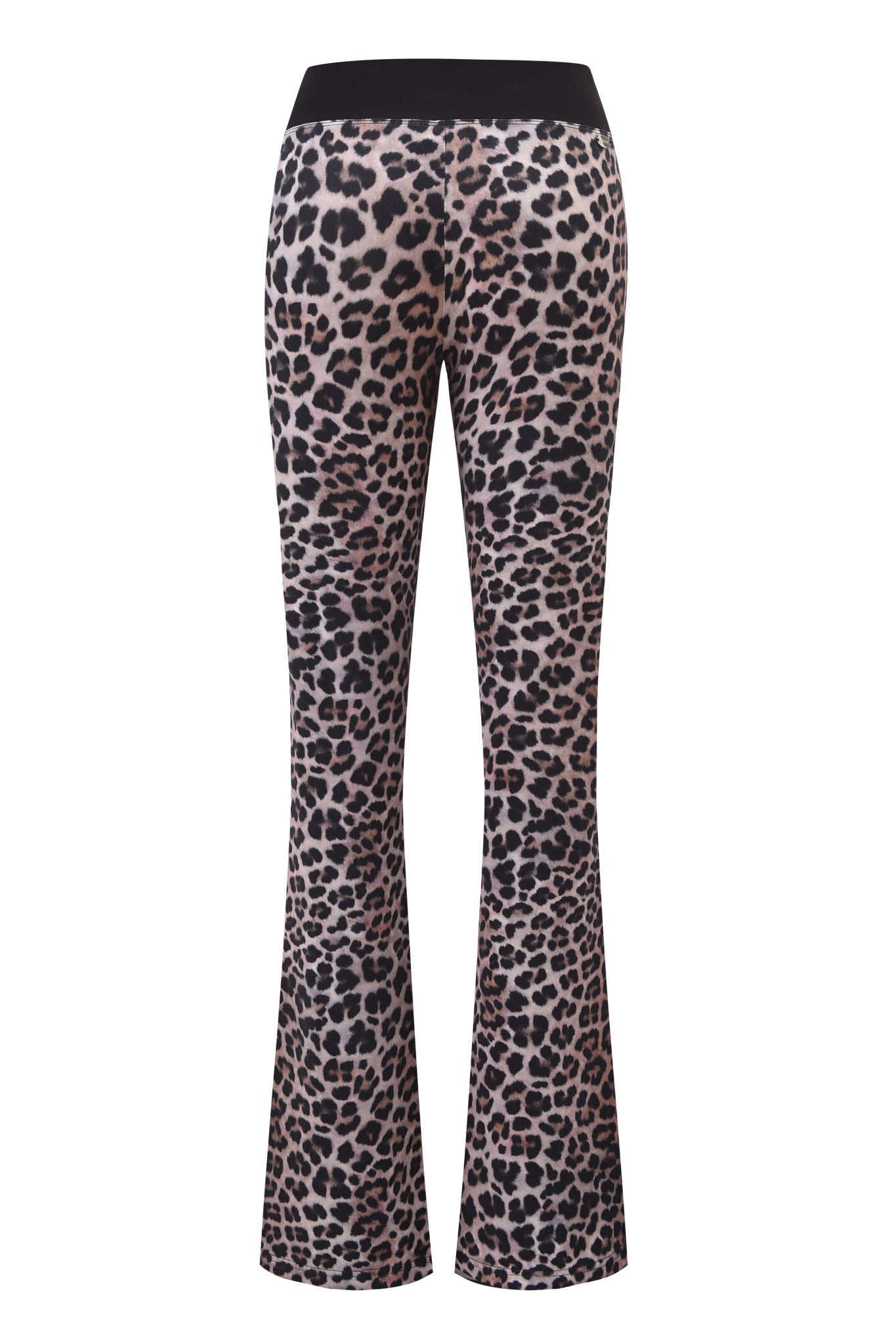 BLARE CROSSOVER PANT - LEOPARD