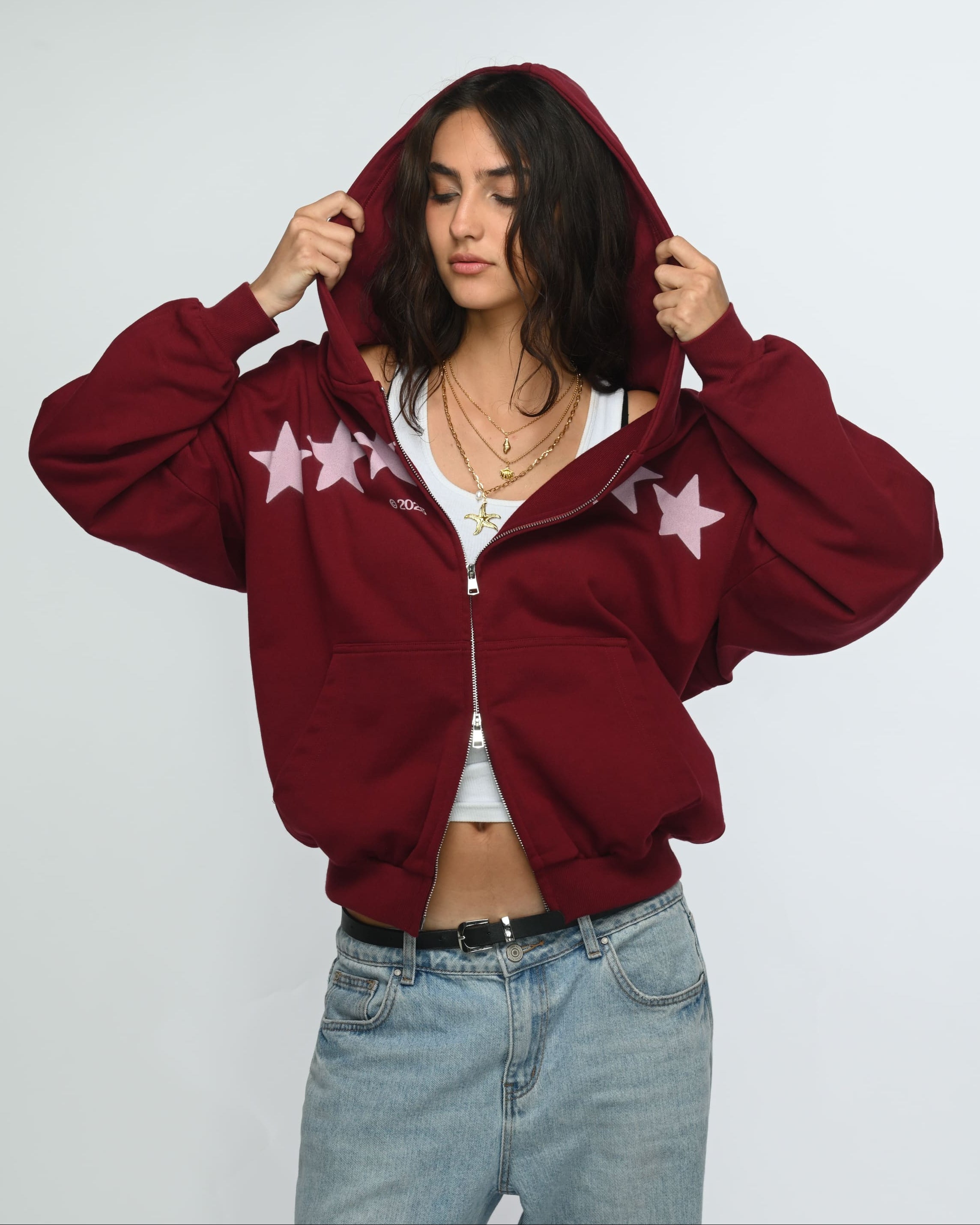 Starbound Zipper