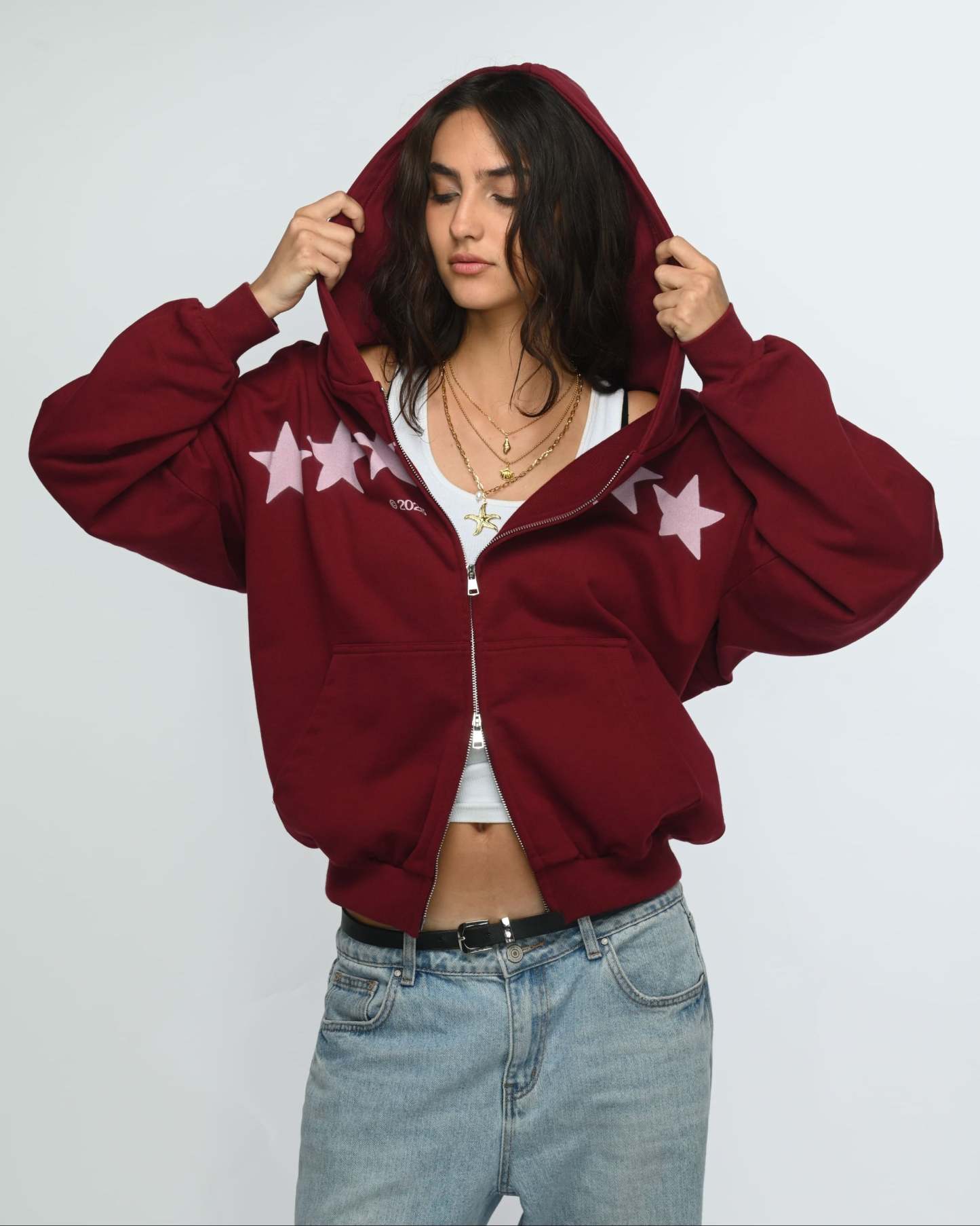 Starbound Zipper