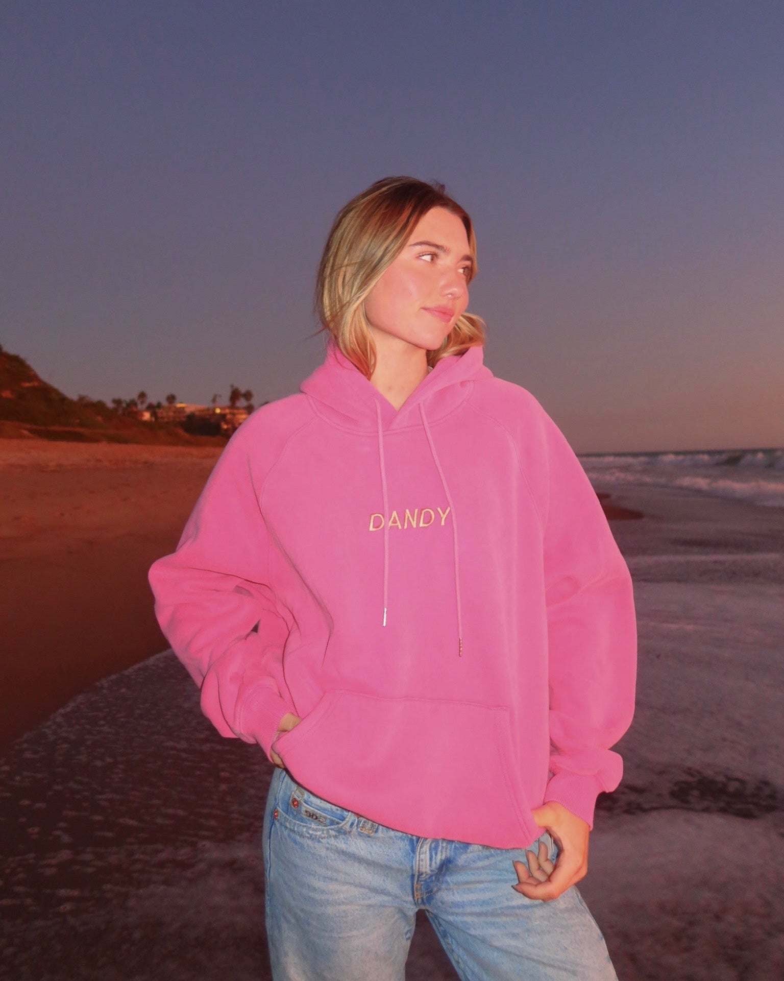 "Let's Watch the Sunset" Oversized Lux Hoodie in Vintage Washed Pink