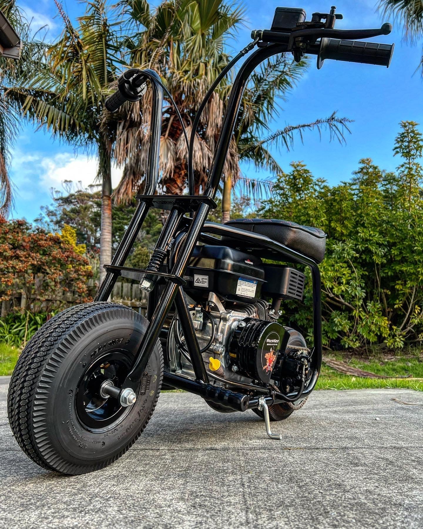 🎁🔥 Hustler Mini Bike