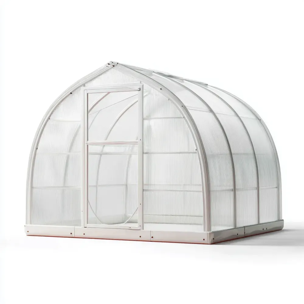 Invernadero de Policarbonato 300x200x200 cm - Transparente - Diseño Compacto