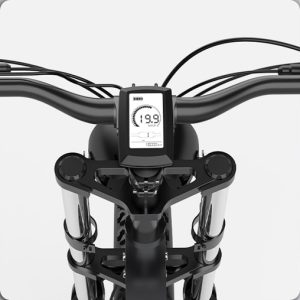 x20 ebike display