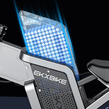 x21 ebike battery