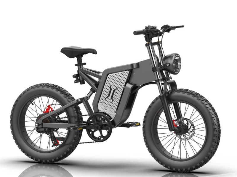 ekx x20 e-bike​