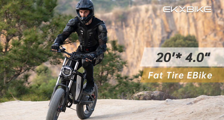 fat tire ebike