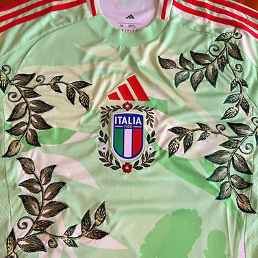 Custom-Made The Football Galx 2025-26 Italy Away Shirt