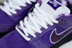Concepts x Nike SB Dunk Low Pro OG QS"Purple Lobster" - Image 18
