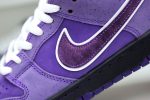 Concepts x Nike SB Dunk Low Pro OG QS"Purple Lobster" - Image 9