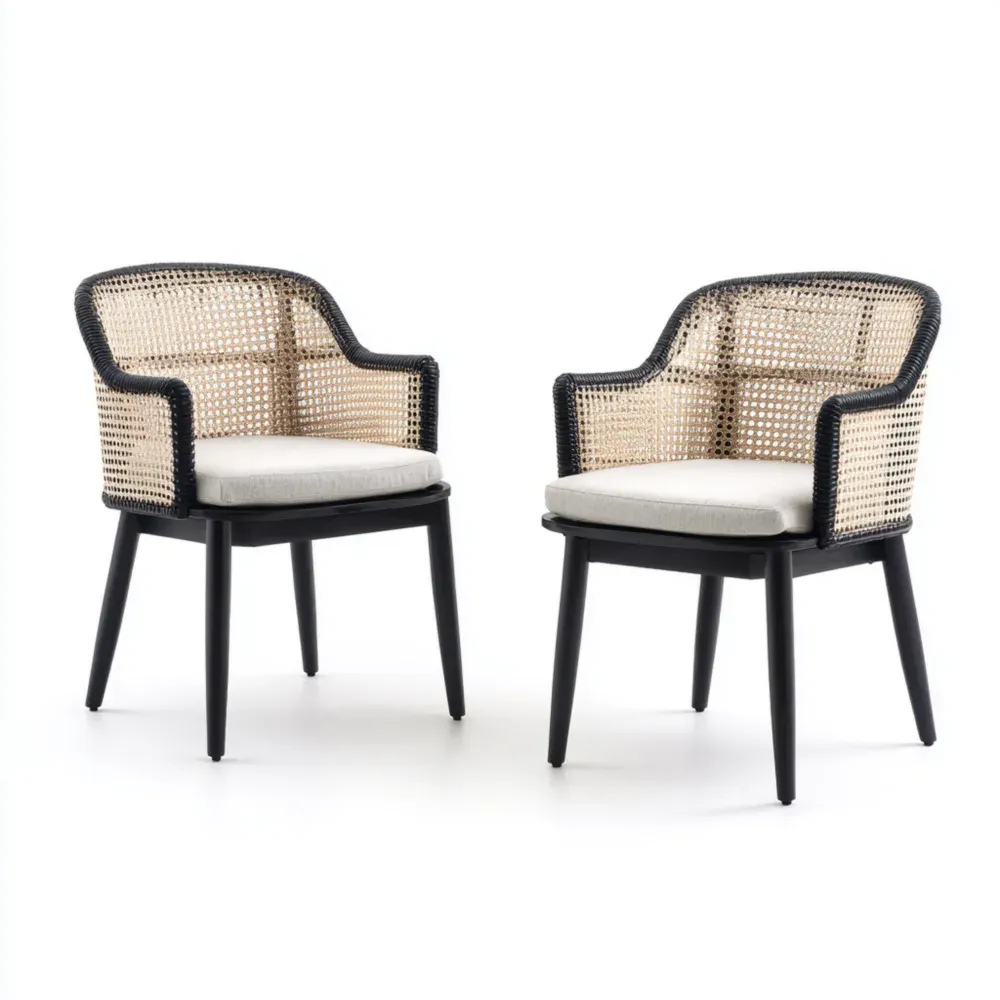 Sillas de comedor para patio 48x50x85 cm Mimbre y Cojín Beige Diseño Contemporáneo