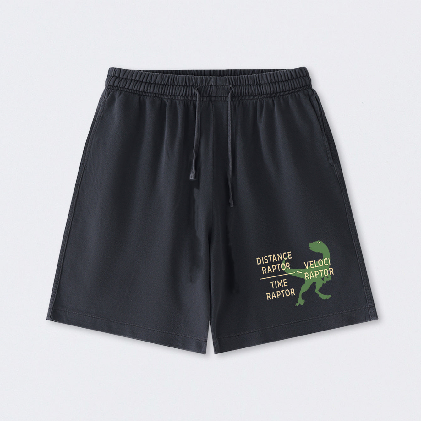 Equations Of Motion Science Velociraptor Washed Shorts