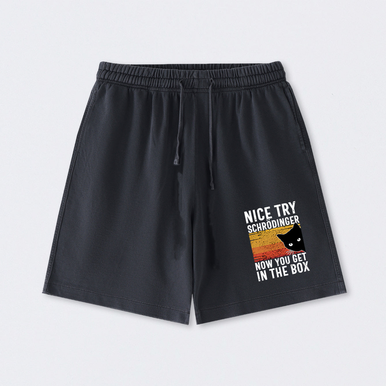 You Get Schrodinger's cat In The Box Washed Shorts
