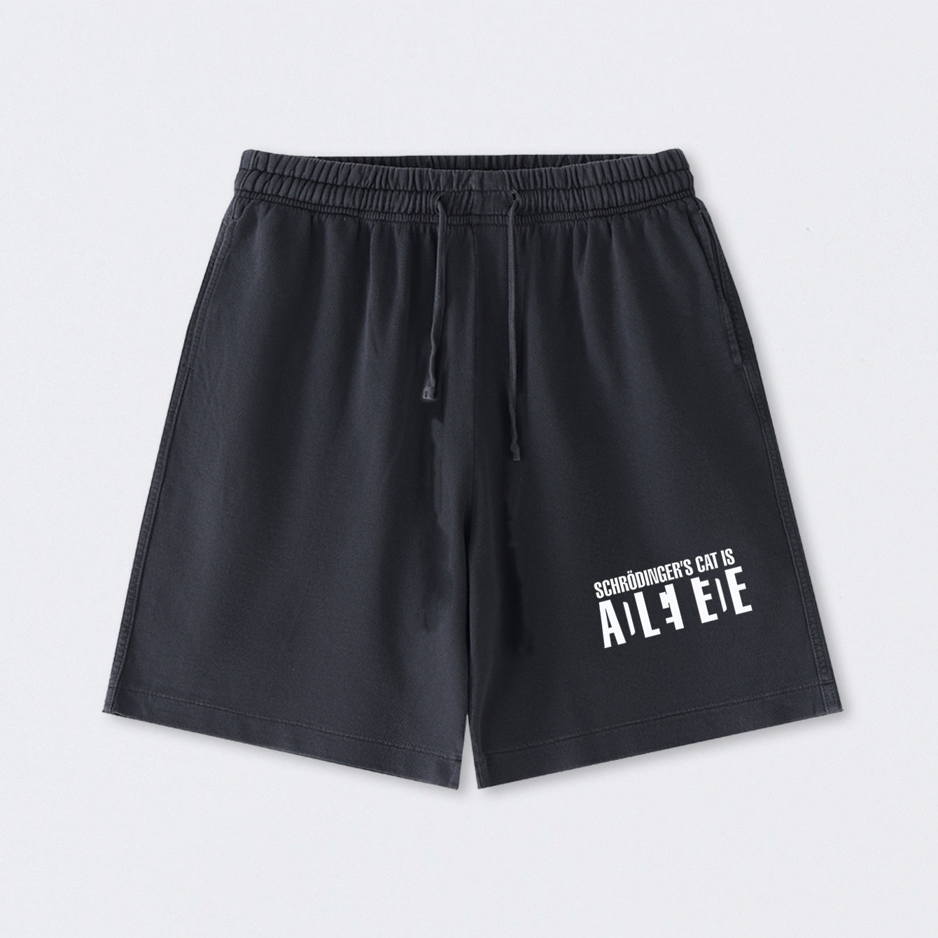 SchrÖdinger's Cat ADLEIAVDE Science Washed Shorts