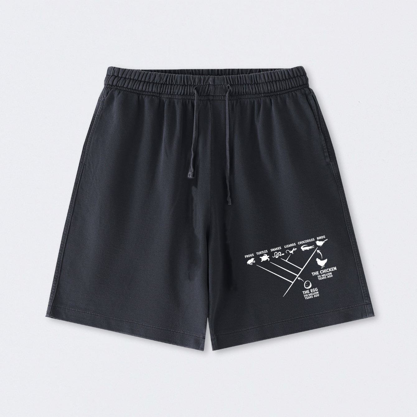 The Chicken And The Egg Washed Shorts