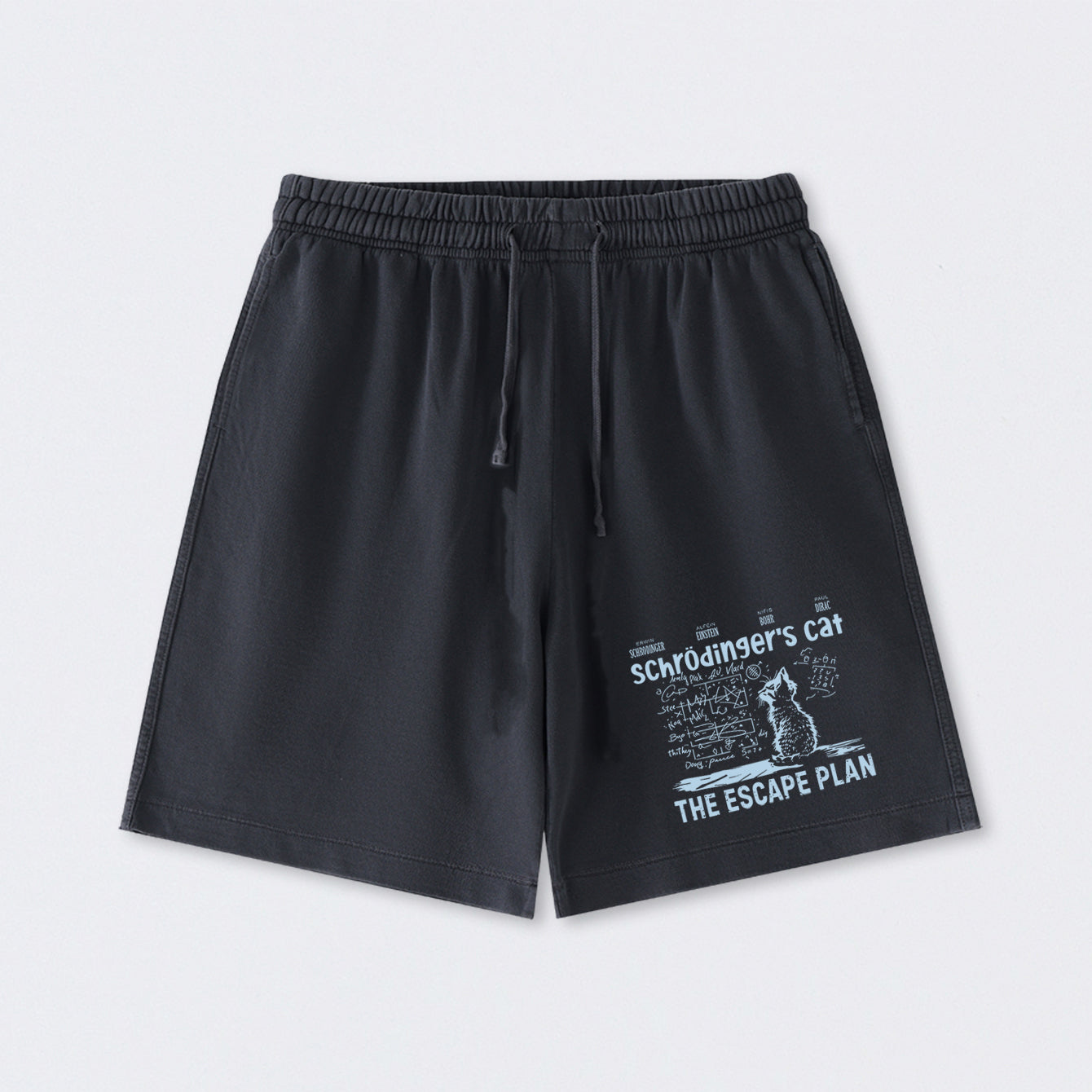 Schrodinger's Cat Escape Plan Interesting Physics Science Washed Shorts