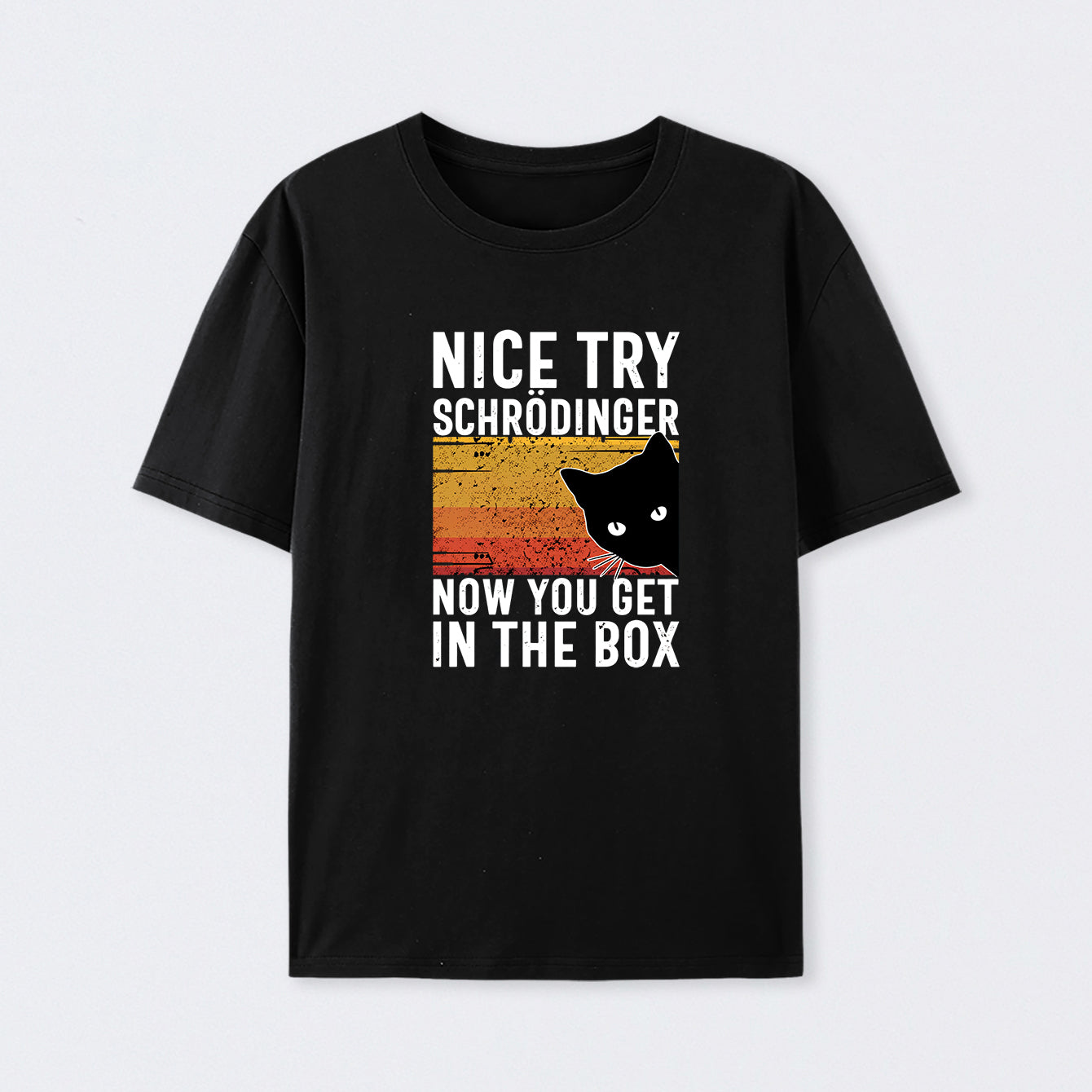 Black You Get Schr?dinger's cat In The Box T-Shirt