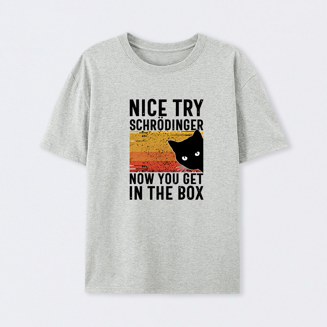 Grey You Get Schr?dinger's cat In The Box T-Shirt