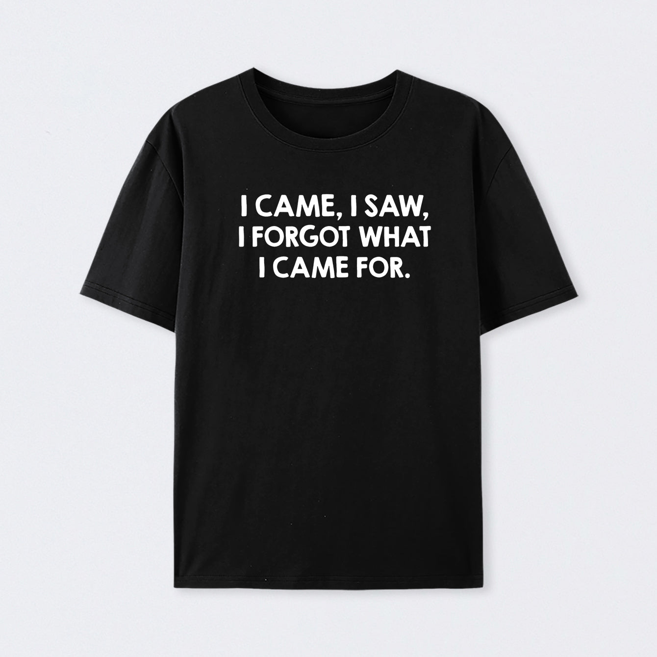 I Came and Saw Cotton T-Shirt