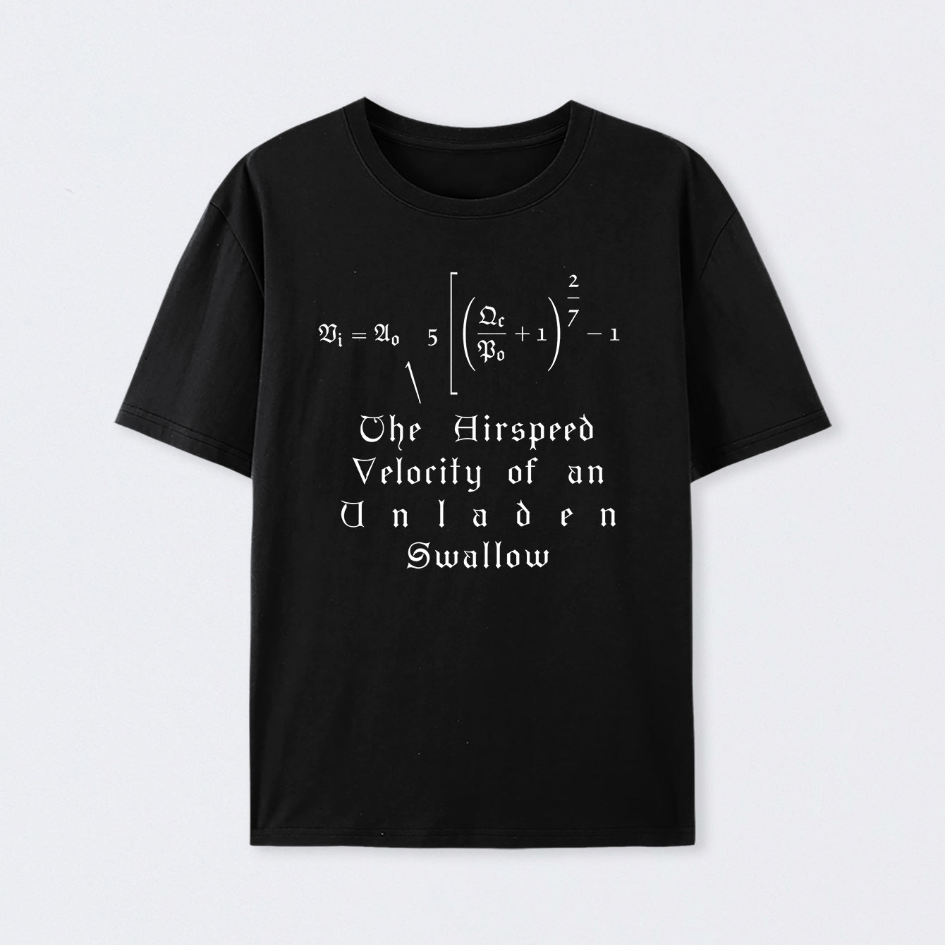 The Airspeed Velocity of an Unladen Swallow T-Shirt