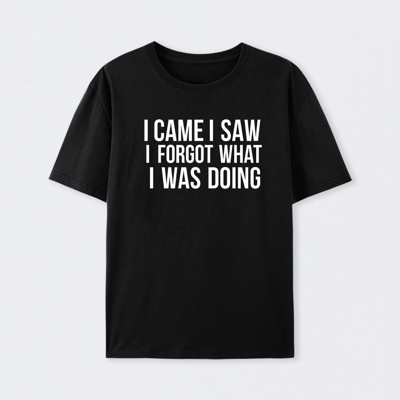 I Came I Saw I Forgot What I Was Doing Humor Joke Quote T-Shirt
