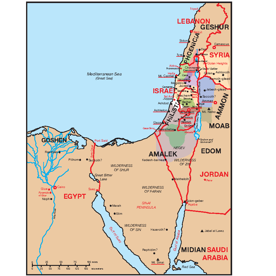 🔥Last Day70% off🔥10th Anniversary Edition Bible Charts, Maps and Time Lines