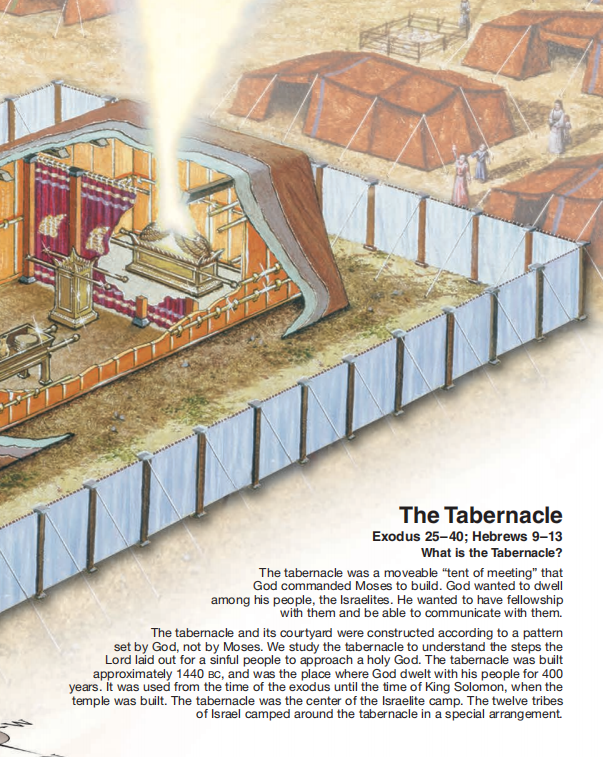 🔥Last Day70% off🔥10th Anniversary Edition Bible Charts, Maps and Time Lines