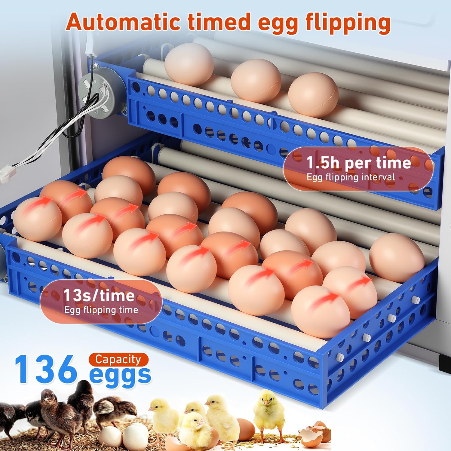 Automatic Egg Incubator for Hatching Eggs with Auto Turner, Digital Temp/Humidity