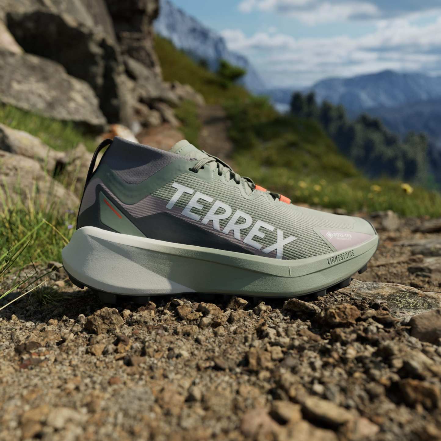 Terrex Agravic GORE-TEX Trail Running Shoes