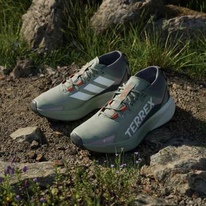 Terrex Agravic GORE-TEX Trail Running Shoes