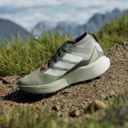Terrex Agravic GORE-TEX Trail Running Shoes